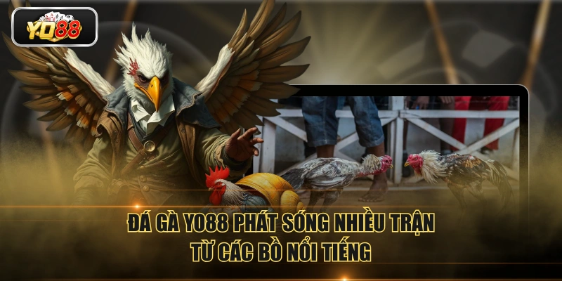 Đá gà YO88 phát sóng nhiều trận từ các bồ nổi tiếng